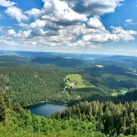 Landleben Im Dorfkrug Altglashuetten- Feldberg Apartment *