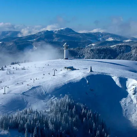 Apartment Landleben Im Dorfkrug Altglashuetten- Feldberg *