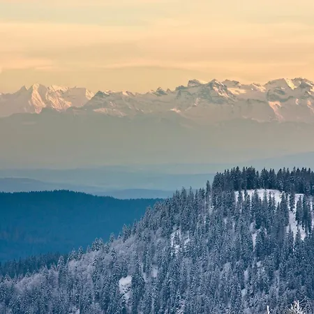 Landleben Im Dorfkrug Altglashütten- * Feldberg (Baden-Wurttemberg)