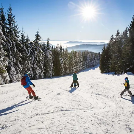 Landleben Im Dorfkrug Altglashuetten- Feldberg Apartment